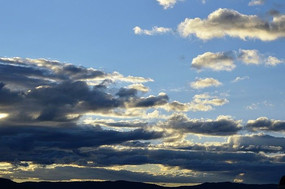 �����Ʋ�