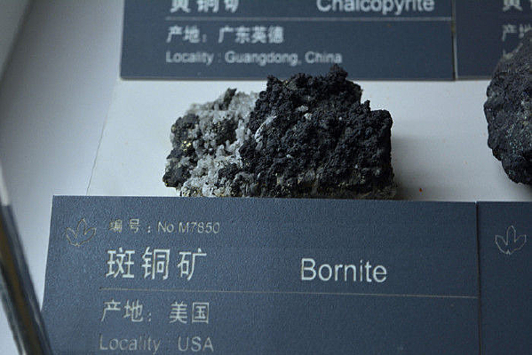 ������ͭ��