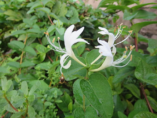 �����׻��������