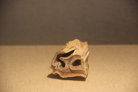 ��ëϬ������ʯ