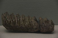 ʦʽ���������ݻ�ʯ