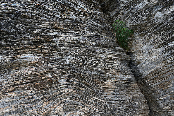 ̫��ɽ�ҵ�ò