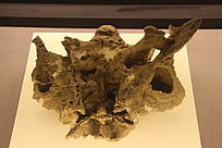 �������ͷ�ǻ�ʯ