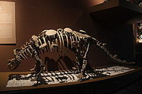 ���������ʯ