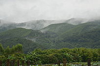 ɽ��������Ȼ