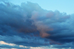 �����ܲ�