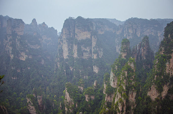 �վ���ɽ��