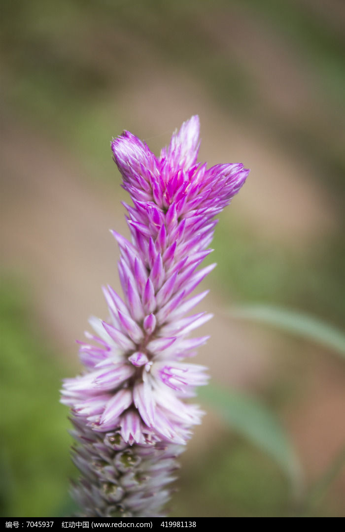 ���޵���ɫ����ͼƬ