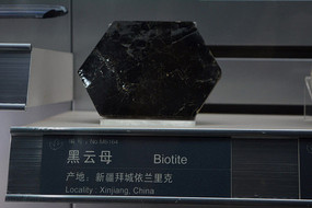 �½�����ĸ