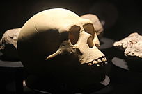 ����Ҥ��ͷ�ǹ�