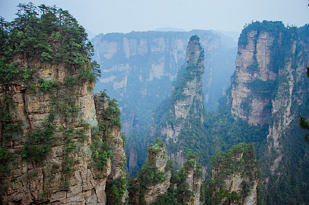 �żҽ����ɭ�ֹ�԰�ķ羰