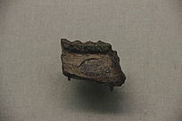 �׹�¹����