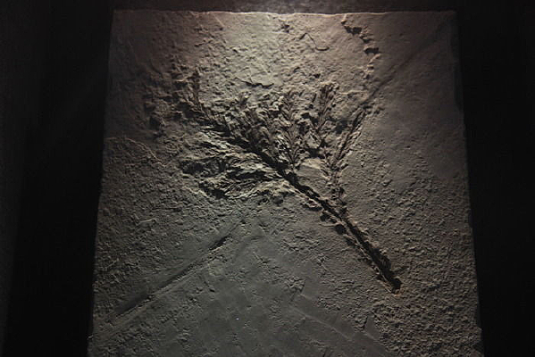 �л�����ɼ��ʯ