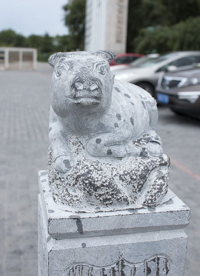 ��ͷţ���ܵ��