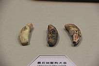 �����๷Ȯ�ݻ�ʯ