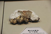 �����๷�����ǻ�ʯ