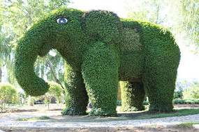 ���۴���