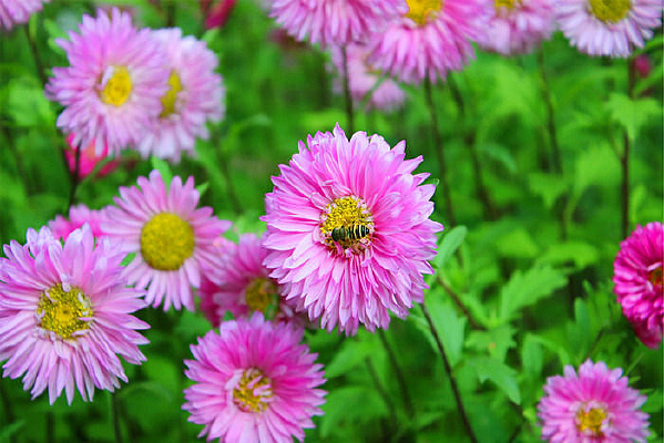 ��������˾��ׯҰ���۷�