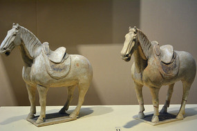 �ƴ���������