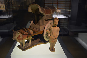 �ƴ���ţ��