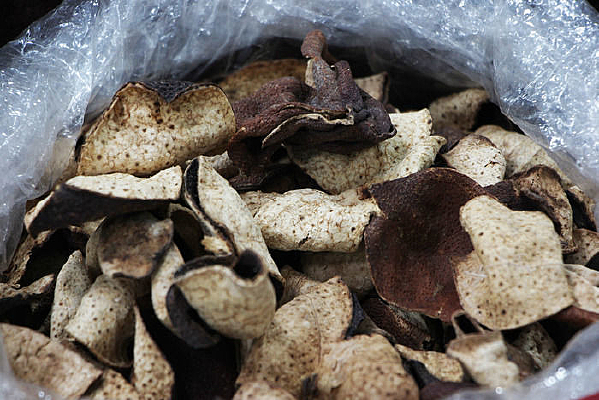 �����»��Ƥ