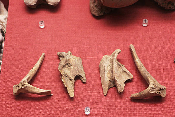 ��ʯ��ʱ�����