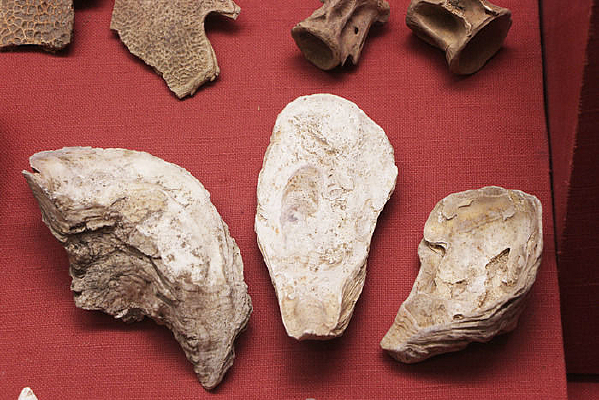 ��ʯ��ʱ������ĵ��