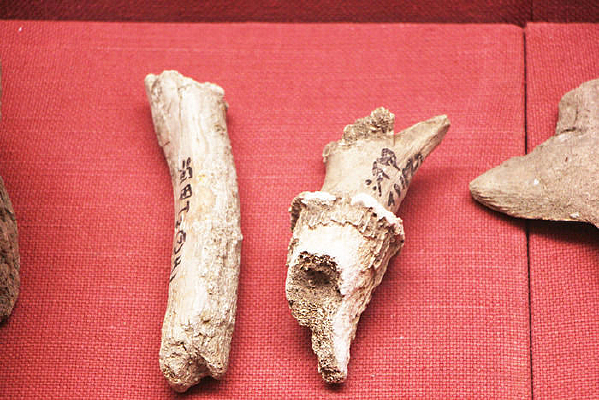 ��ʯ��ʱ��÷��¹