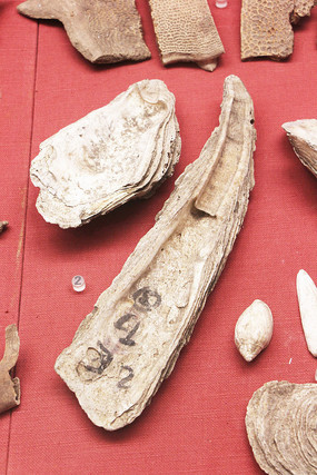 ��ʯ��ʱ��ɮñĵ��