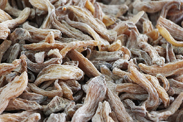 Ұ������