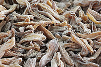 Ұ������