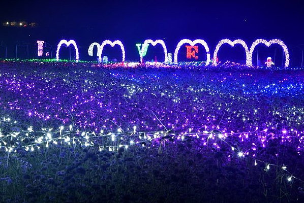 ޹�²ݴ��ϵĲʵ�����չ