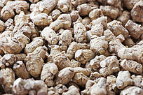 ӡ�����꿧