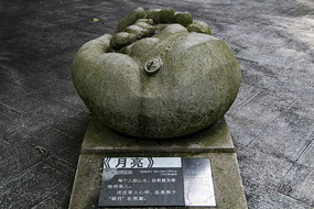 ����������Ʒ����