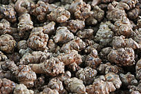 ����Ұ������