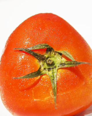 ���ѵı���