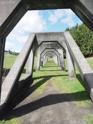 ��������Ӱ