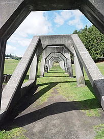 ��������Ӱ