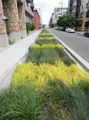 �̻������