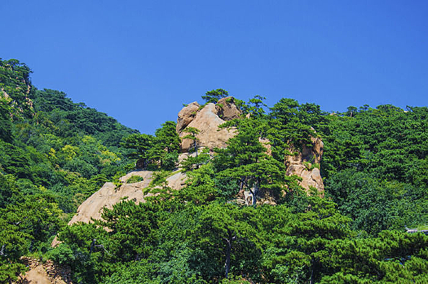 ��ɽ������