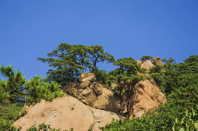 ǧɽ���¸�ɽ��������