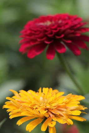 ɫ�������İ��ղ�