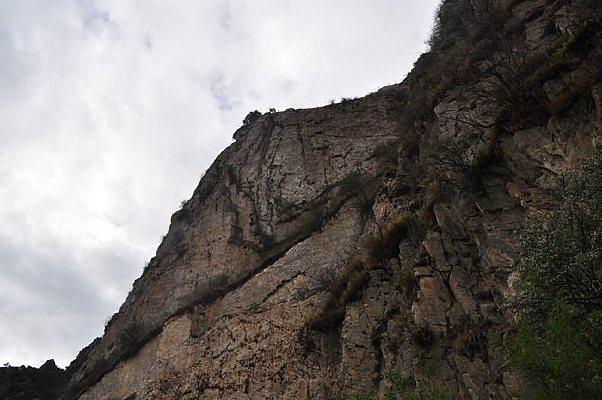 ��ɽ�����ͱ�