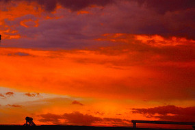 ����������