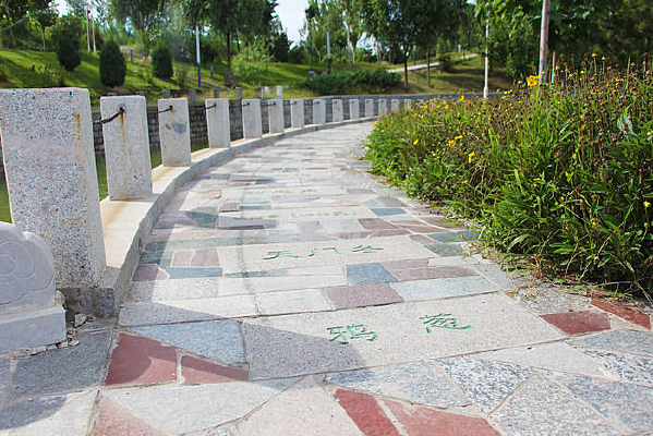 ҩ��������ɵ�ʯ��·