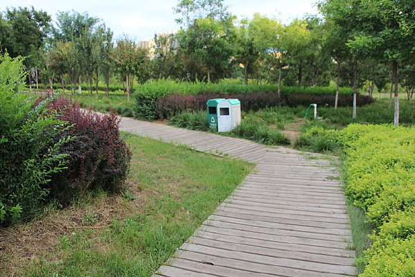 ԰���е�ľ���·