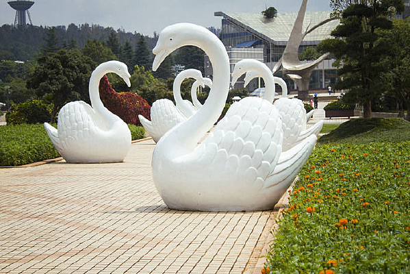 ��ɫ�ļ�ֻ���