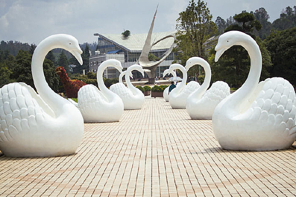 ��ɫ�����