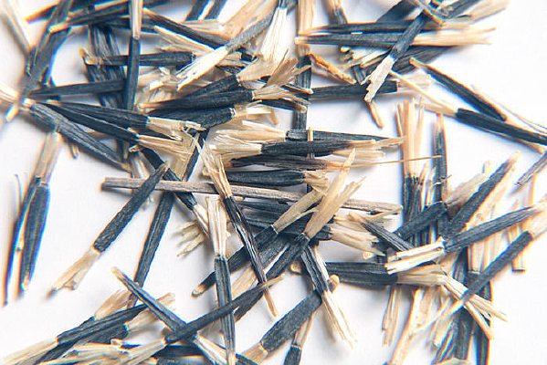 �������ӽ�ë������