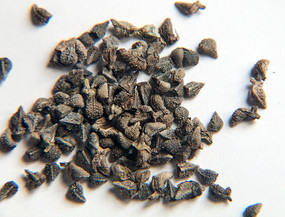 ����������������